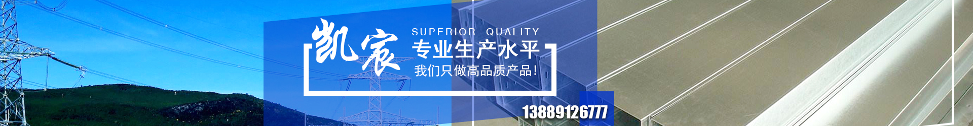 大发金汇彩